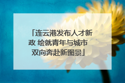 连云港发布人才新政 绘就青年与城市双向奔赴新图景