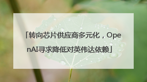 转向芯片供应商多元化，OpenAI寻求降低对英伟达依赖