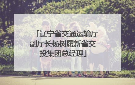 辽宁省交通运输厅副厅长杨树履新省交投集团总经理