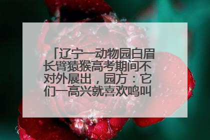 辽宁一动物园白眉长臂猿猴高考期间不对外展出，园方：它们一高兴就喜欢鸣叫，怕影响考试