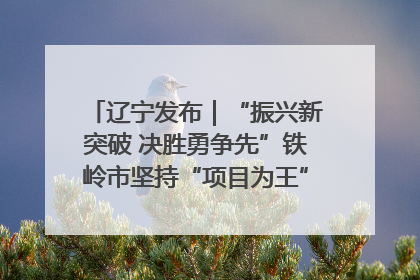 辽宁发布｜“振兴新突破 决胜勇争先”铁岭市坚持“项目为王”推进经济高质量发展
