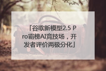 谷歌新模型2.5 Pro霸榜AI竞技场，开发者评价两极分化