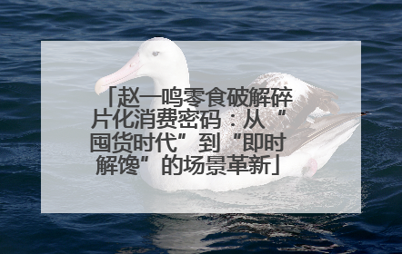赵一鸣零食破解碎片化消费密码：从“囤货时代”到“即时解馋”的场景革新