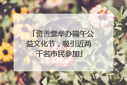 资善堂举办端午公益文化节，吸引近两千名市民参加