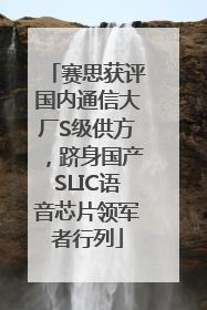 赛思获评国内通信大厂S级供方，跻身国产SLIC语音芯片领军者行列