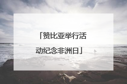 赞比亚举行活动纪念非洲日