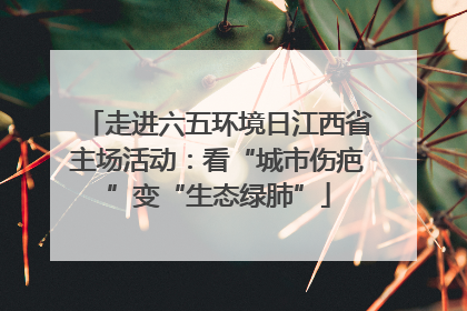 走进六五环境日江西省主场活动：看“城市伤疤”变“生态绿肺”