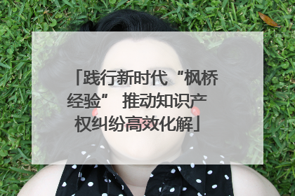 践行新时代“枫桥经验” 推动知识产权纠纷高效化解
