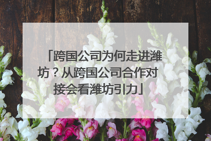 跨国公司为何走进潍坊？从跨国公司合作对接会看潍坊引力