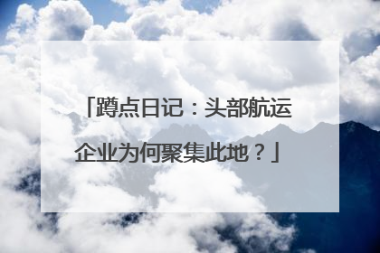 蹲点日记：头部航运企业为何聚集此地？