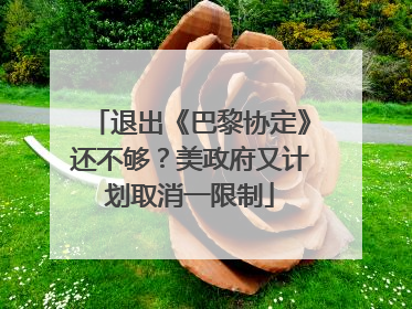 退出《巴黎协定》还不够？美政府又计划取消一限制