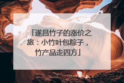 遂昌竹子的涨价之旅：小竹叶包粽子，竹产品走四方