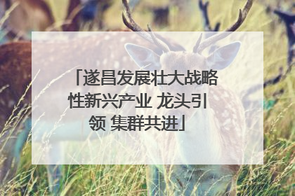 遂昌发展壮大战略性新兴产业 龙头引领 集群共进