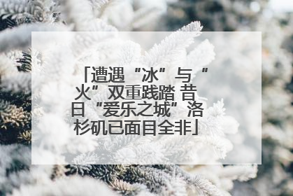 遭遇“冰”与“火”双重践踏 昔日“爱乐之城”洛杉矶已面目全非