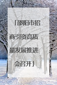 邵阳市招商引资高质量发展推进会召开