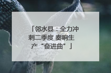 邻水县：全力冲刺二季度 奏响生产“奋进曲”