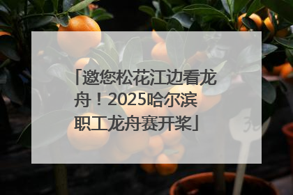 邀您松花江边看龙舟！2025哈尔滨职工龙舟赛开桨