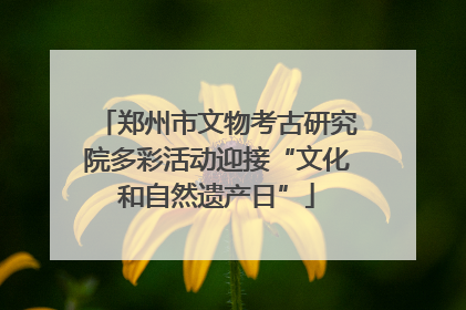 郑州市文物考古研究院多彩活动迎接“文化和自然遗产日”
