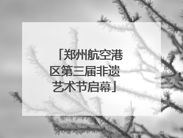 郑州航空港区第三届非遗艺术节启幕