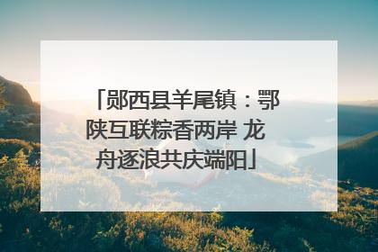 郧西县羊尾镇：鄂陕互联粽香两岸 龙舟逐浪共庆端阳