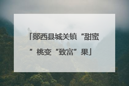 郧西县城关镇“甜蜜”桃变“致富”果