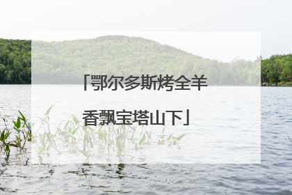 鄂尔多斯烤全羊香飘宝塔山下