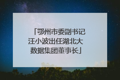 鄂州市委副书记汪小波出任湖北大数据集团董事长