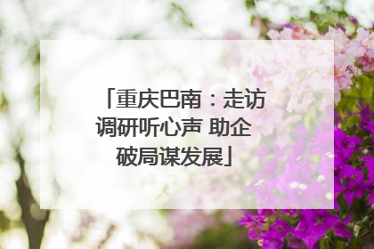 重庆巴南：走访调研听心声 助企破局谋发展