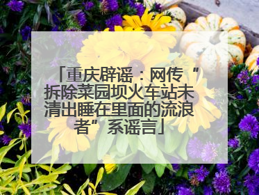 重庆辟谣：网传“拆除菜园坝火车站未清出睡在里面的流浪者”系谣言