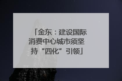 金东：建设国际消费中心城市须坚持“四化”引领