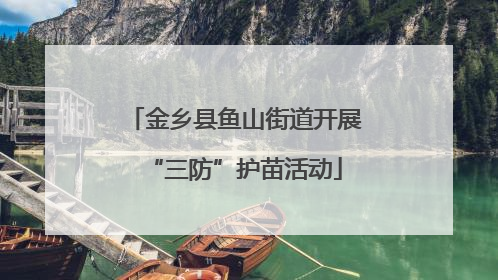 金乡县鱼山街道开展“三防”护苗活动