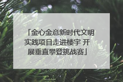 金心金意新时代文明实践项目走进楼宇 开展垂直攀登挑战赛