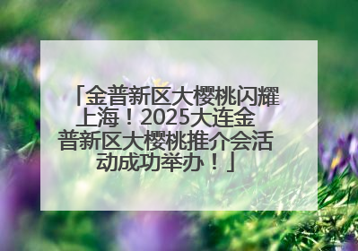 金普新区大樱桃闪耀上海！2025大连金普新区大樱桃推介会活动成功举办！