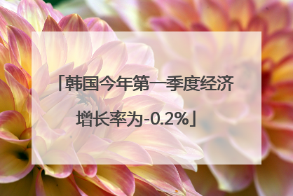 韩国今年第一季度经济增长率为-0.2%
