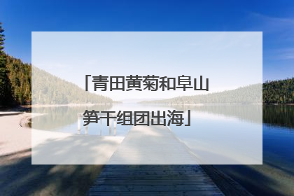 青田黄菊和阜山笋干组团出海