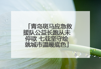 青岛斑马应急救援队公益长跑从未停歇 七载坚守绘就城市温暖底色