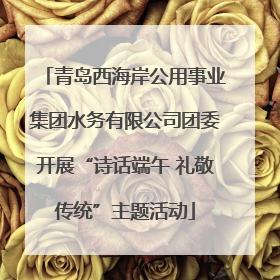 青岛西海岸公用事业集团水务有限公司团委开展“诗话端午 礼敬传统”主题活动