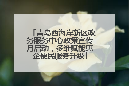 青岛西海岸新区政务服务中心政策宣传月启动，多维赋能惠企便民服务升级