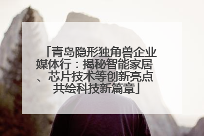 青岛隐形独角兽企业媒体行：揭秘智能家居、芯片技术等创新亮点 共绘科技新篇章