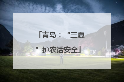 青岛：“三夏”护农话安全