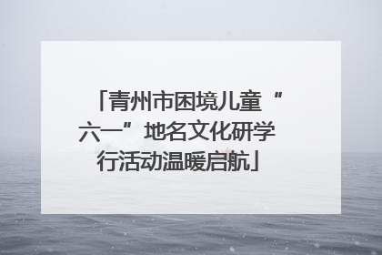 青州市困境儿童“六一”地名文化研学行活动温暖启航
