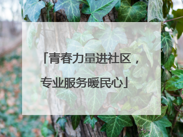 青春力量进社区，专业服务暖民心