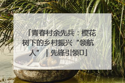 青春村余先兵：樱花树下的乡村振兴“领航人”｜先锋引领⑪