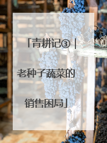 青耕记③｜老种子蔬菜的销售困局
