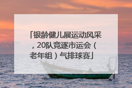银龄健儿展运动风采，20队竞逐市运会（老年组）气排球赛