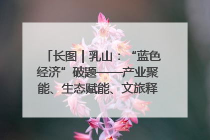 长图｜乳山：“蓝色经济”破题——产业聚能、生态赋能、文旅释能的协同路径