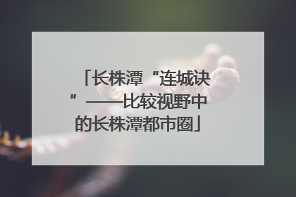 长株潭“连城诀”——比较视野中的长株潭都市圈
