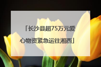 长沙县超75万元爱心物资紧急运往湘西