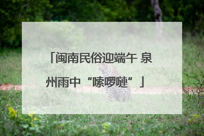 闽南民俗迎端午 泉州雨中“嗦啰嗹”