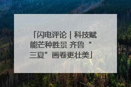 闪电评论｜科技赋能芒种胜景 齐鲁“三夏”画卷更壮美